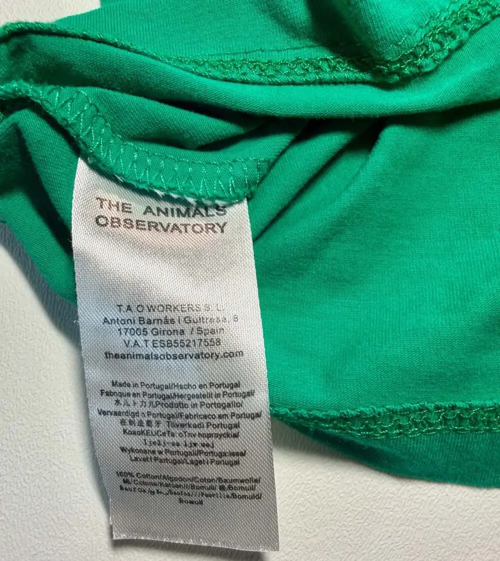 The Animals Observatory Green Sun Graphic Tank Top